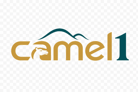 camel1